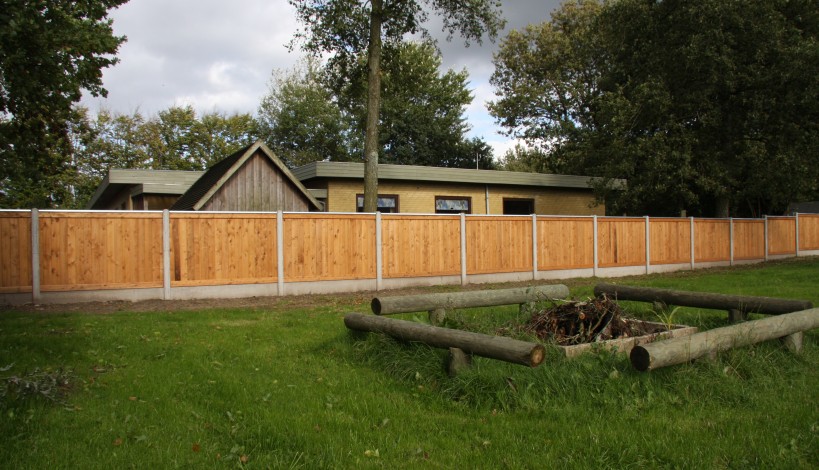 Plankehegn-lærk-15-819x470