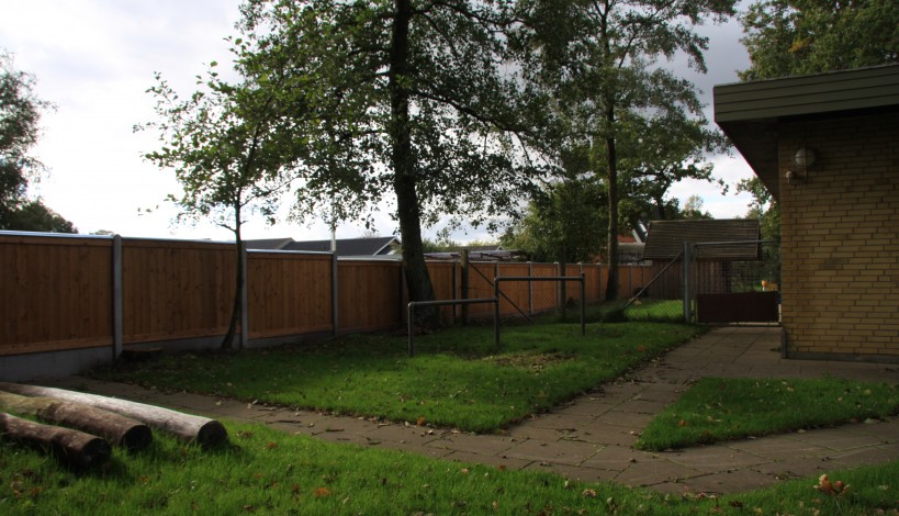 Plankehegn-lærk-819x470